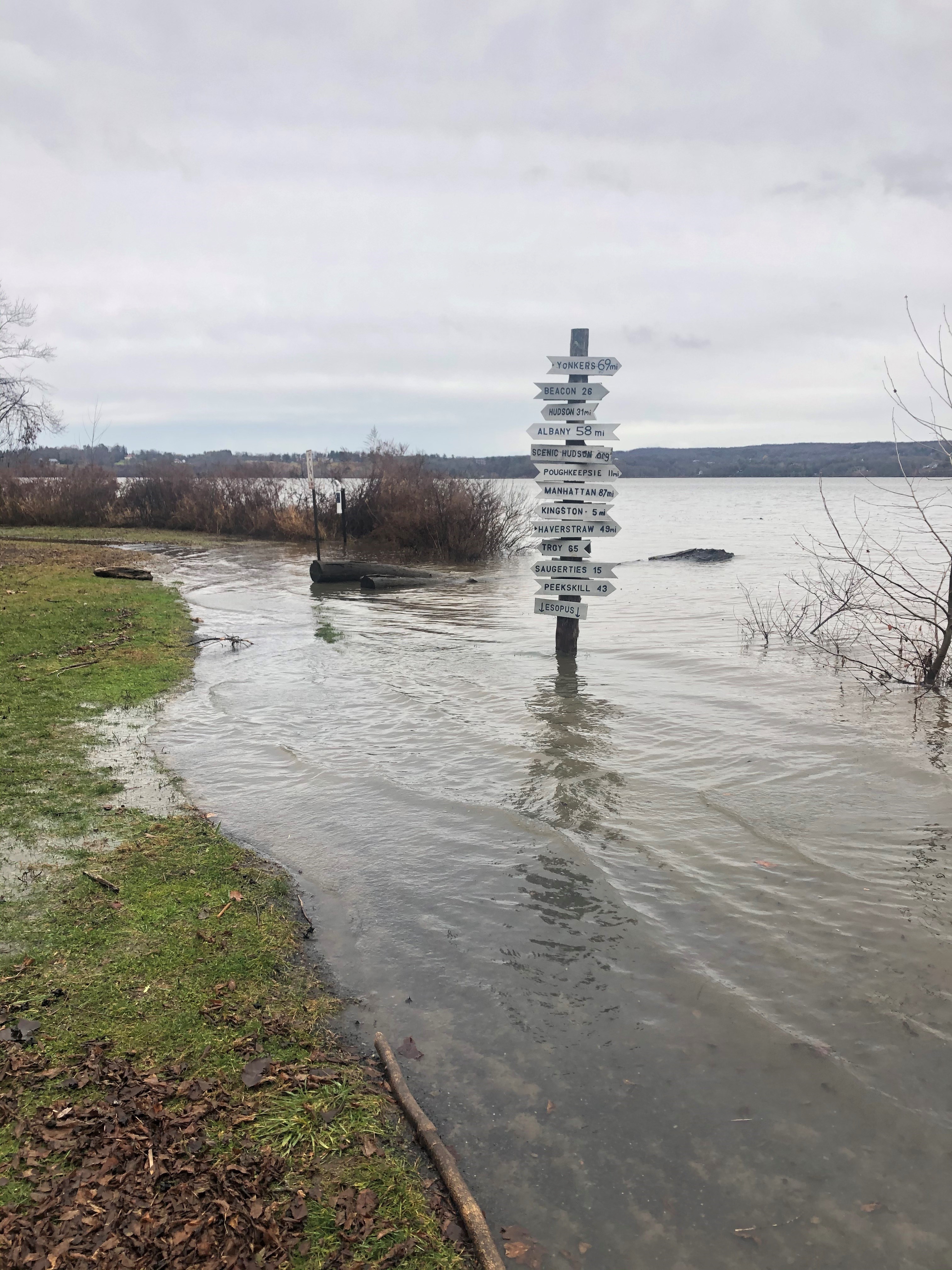 A flooded shoreline with a signpost visible.