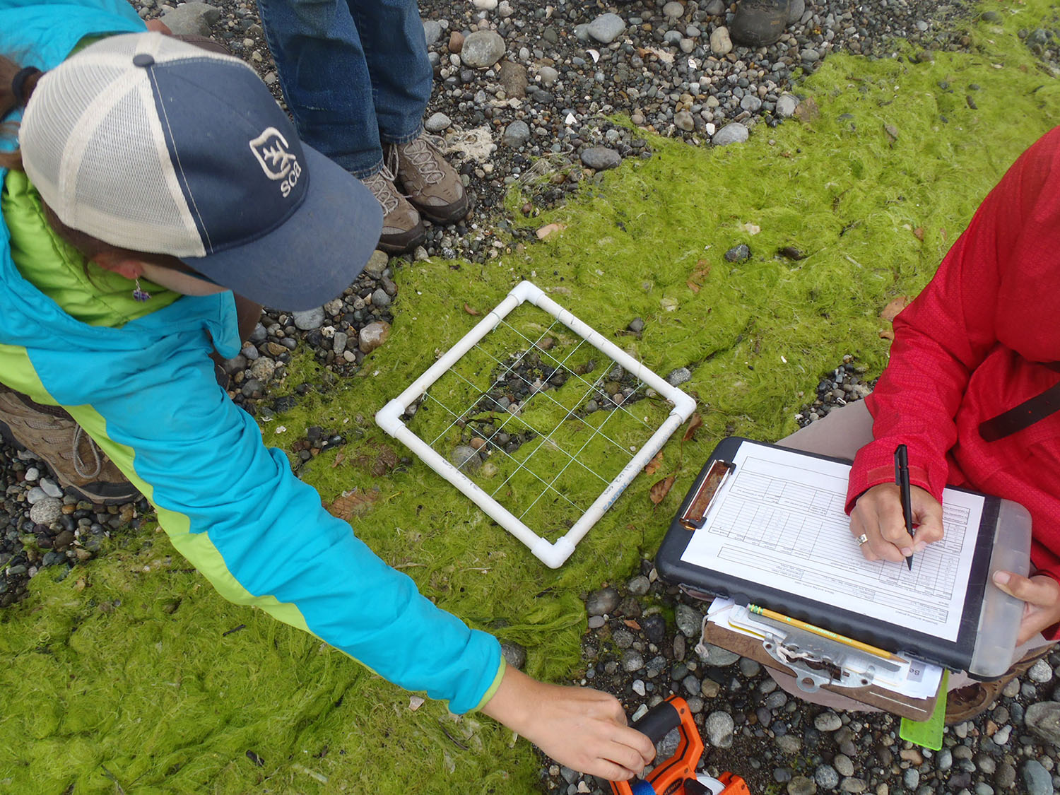 Photo: Shoreline Monitoring Toolbox