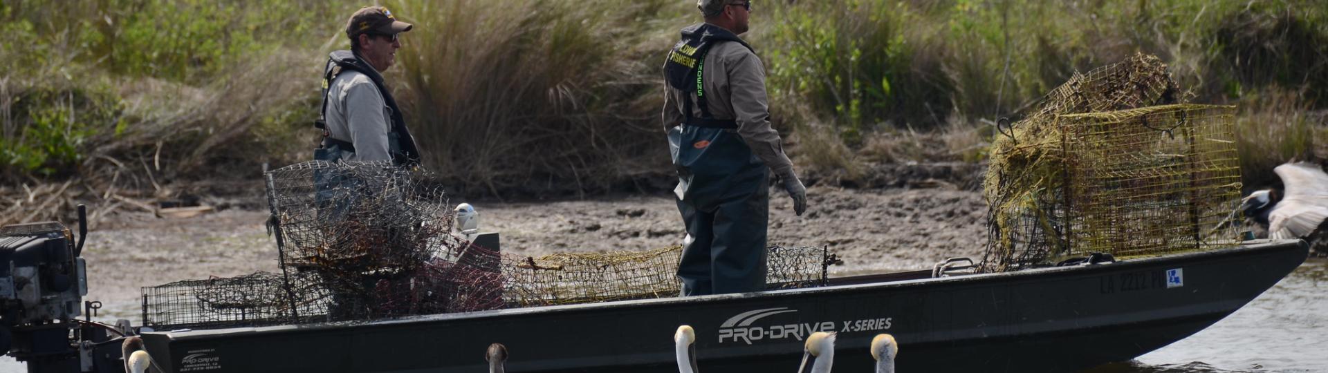 Photo: Crab Trap Rodeos