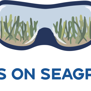 Eyes on Seagrass Logo. Scuba mask with seagrass blades growing out of the bottom of the lens