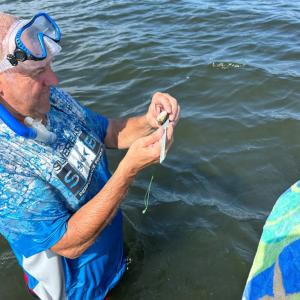 Volunteer measuring one of the four collected bay scallops from Pensacola Bay. Photo: Gina Hertz