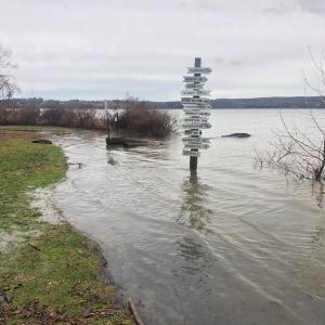 A flooded shoreline with a signpost visible.