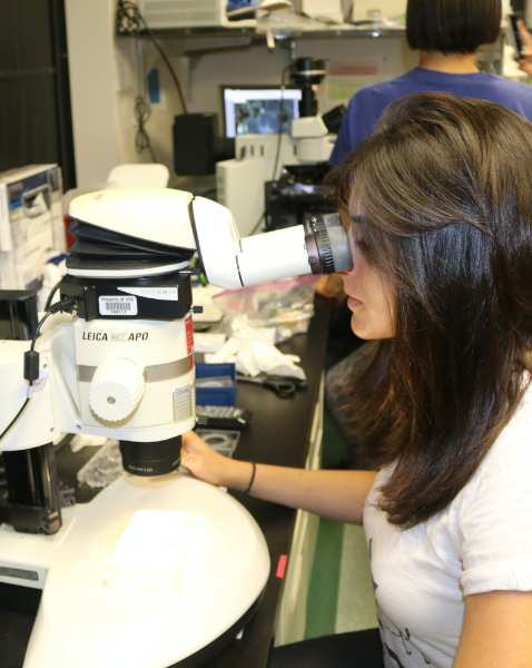 woman using microscope