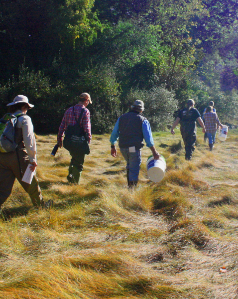 people walking on grass with a bucket